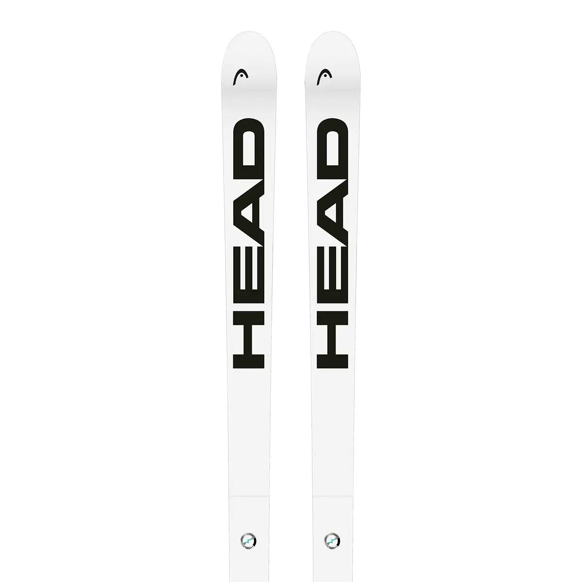 2024 HEAD WCR E-SG Rebel FIS Skis