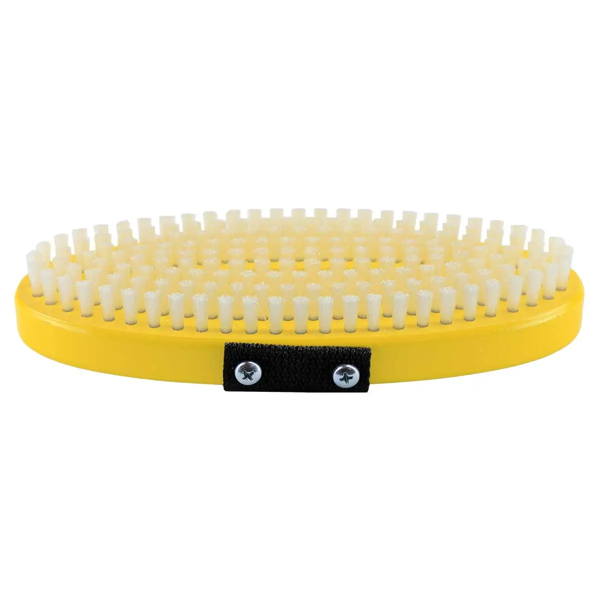 BEAST Oval Brush - Image 3